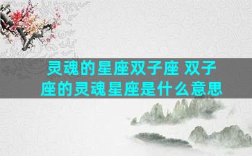 灵魂的星座双子座 双子座的灵魂星座是什么意思